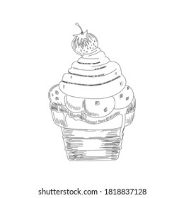 Ice cream sketch. Isolated vector ice cream scoops in glass bowl, eskimo pie in chocolate glaze, sundae in wafer cone, frozen fruit ice for cafeteria, restaurant menu