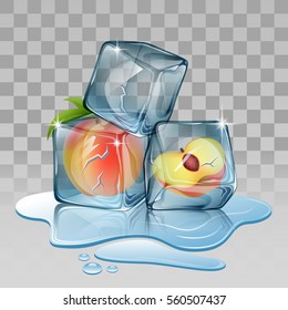 Ice cube with apricot. illustration