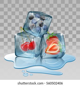 Ice cube with berry fruits. Vector illustration