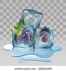 Ice cube with grape. Vector illustration