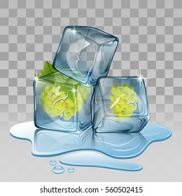 Ice cube with grape. Vector illustration