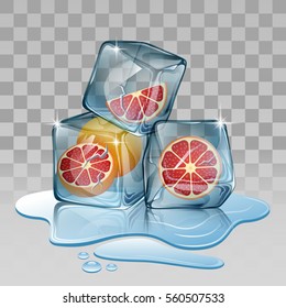 Ice cube with grapefruit. illustration