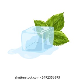 Cubo de hielo aislado sobre fondo blanco. Cubo de cristal de hielo derritiéndose, menta. Ilustración vectorial dibujada a mano de dibujos animados. Agua congelada transparente para alcohol y bebidas para enfriamiento.