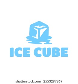 Ice cube logo design template.