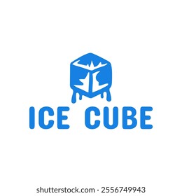 Ice cube logo design template.