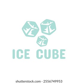Ice cube logo design template.