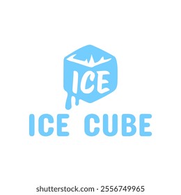 Ice cube logo design template.