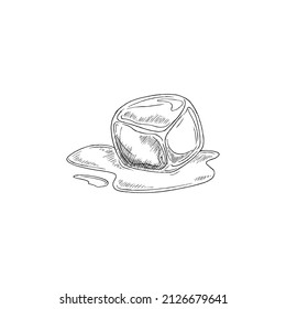 Ice cube melting with water puddle, sketch vector illustration isolated on white background. Hand drawn ice block for serving summer food in black outline with engraving.