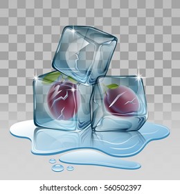 Ice cube with plum. Vector illustration