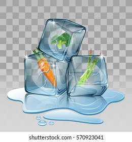 Ice cube, set with carrot and broccoli Vector illustration