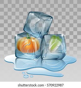 Ice cube, set with pumpkin and chinese cabbage Vector illustration