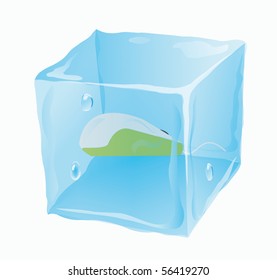 Ice cube in which the computer mouse is frozen