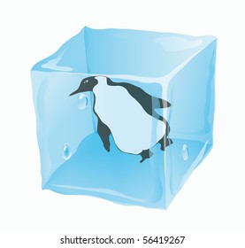 Ice cube in which the penguin is frozen