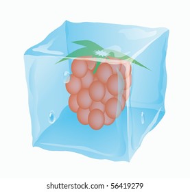 Ice cube in which the raspberry is frozen