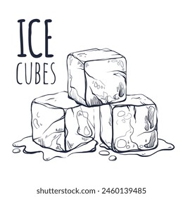 Ice cubes. Hand drawn vector illustration