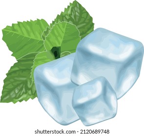 ice cubes with mint vector. Fresh mint and ice. Mojito