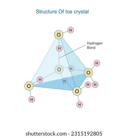 En el hielo, cada molécula de agua se une a cuatro moléculas de agua vecinas y forma una estructura cristalina.