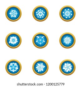 Ice flower icons set. Flat set of 9 ice flower vector icons for web isolated on white background