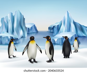 Ice rocks. North pole cold snow background with penguins standing on iceberg outdoor antarctica environment decent vector realistic illustration