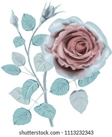 Ice Roses _ Stylized vector bouquet _ Vintage card