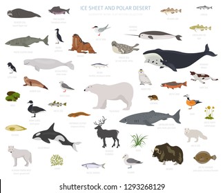 8,030 Greenland vector Images, Stock Photos & Vectors | Shutterstock