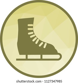Ice Skating Shoe