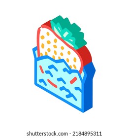 ice strawberries isometric icon vector. ice strawberries sign. isolated symbol illustration
