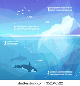 Iceberg infographics. Landscape of northern and Antarctic life - Iceberg in ocean and underwater world with different animals. Low polygon style illustrations. Underwater infographics