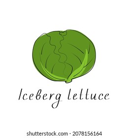 Iceberg lettuce colorful icon. Isolated object. Organic vegetable food. Vector illustration