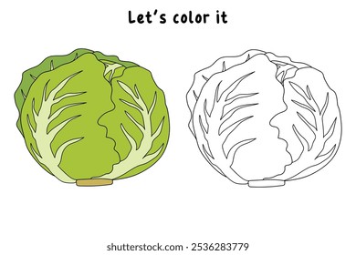 Dibujos para colorear de Lechuga Iceberg para niños. Trazo y color Lechuga Iceberg. Iceberg Lechuga arte de línea aislado en el Vector de fondo blanco. Hojas de trabajo de jardín de infantes y preescolar imprimibles para niños. 