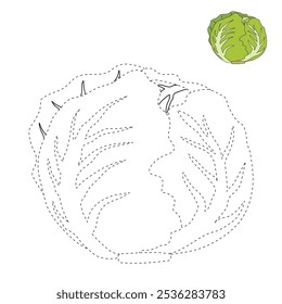 Dibujos para colorear de Lechuga Iceberg para niños. Trazo y color Lechuga Iceberg. Iceberg Lechuga arte de línea aislado en el Vector de fondo blanco. Hojas de trabajo de jardín de infantes y preescolar imprimibles para niños. 