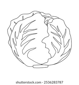 Iceberg Lettuce coloring pages for kids. Trace and color Iceberg Lettuce. Iceberg Lettuce line art isolated on white background vector. Kindergarten and preschool worksheets printable for kids. 