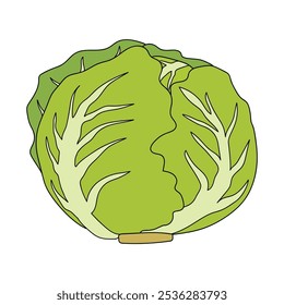 Dibujos para colorear de Lechuga Iceberg para niños. Trazo y color Lechuga Iceberg. Iceberg Lechuga arte de línea aislado en el Vector de fondo blanco. Hojas de trabajo de jardín de infantes y preescolar imprimibles para niños. 