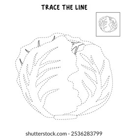 Dibujos para colorear de Lechuga Iceberg para niños. Trazo y color Lechuga Iceberg. Iceberg Lechuga arte de línea aislado en el Vector de fondo blanco. Hojas de trabajo de jardín de infantes y preescolar imprimibles para niños. 