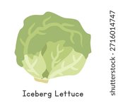 Iceberg Lettuce Flat Cartoon Vector Illustration