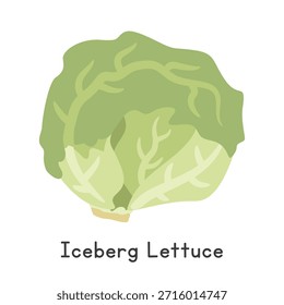 Ilustração de vetor de desenhos animados plano de alface iceberg