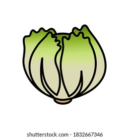 Iceberg lettuce vector icon outline style on white background