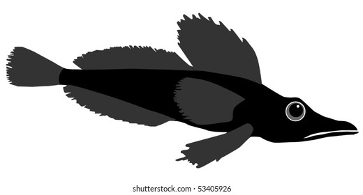  icefish