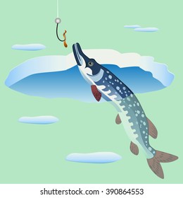  ice-hole and fish luce. Ice fishing. Vector illustration.