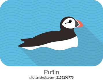 Iceland bird, flat cute puffin  vector illustration