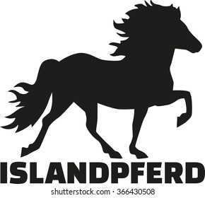 Iceland horse german name