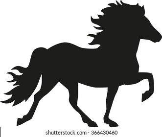 Iceland Horse Silhouette