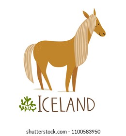 Iceland nature animals. Horse. 