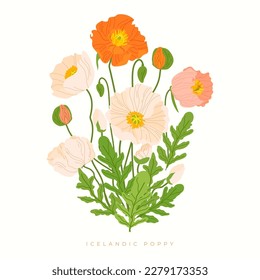 Iceland poppy common papaver isolated on white background. Botany Vector spring flower bouquet flat illustration