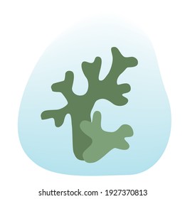 Icelandic green moss logo icon on gradient disappearing spot V
