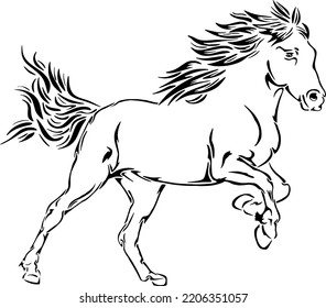 Icelandic Horse Running Outline Vector Illustrations 