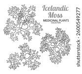 Icelandic Moss Set Outline Illustration