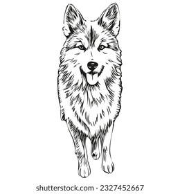 Icelandic Sheepdog dog logo vector black and white, vintage cute dog head engraved
