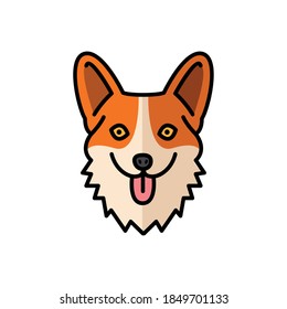 icelandic sheepdog pet mascot breed character vector illustration design