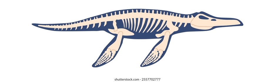 Ichthyosaur skeleton dangerous ancient predator